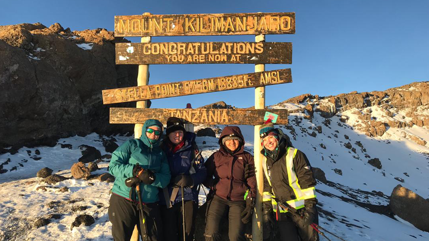 11 Days Northern Circuit Route Kilimanjaro Climbing
